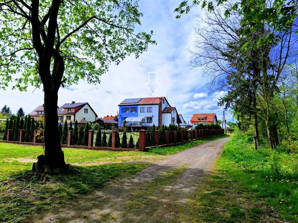 DNW-DS-311-12 - zdjęcie nr 1
