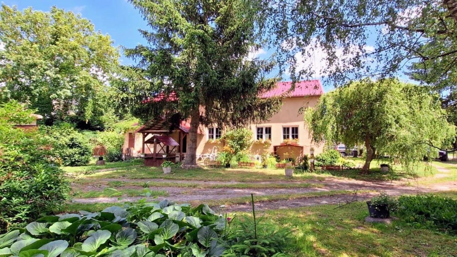 DNW-DS-464-1 - zdjęcie nr 3