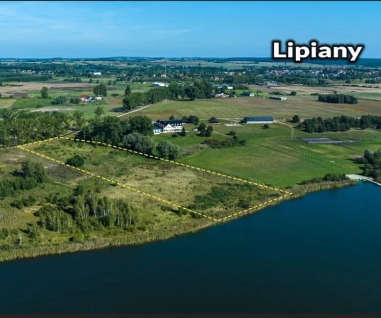 Działka 22 675,00 m², Lipiany, Sprzedaż