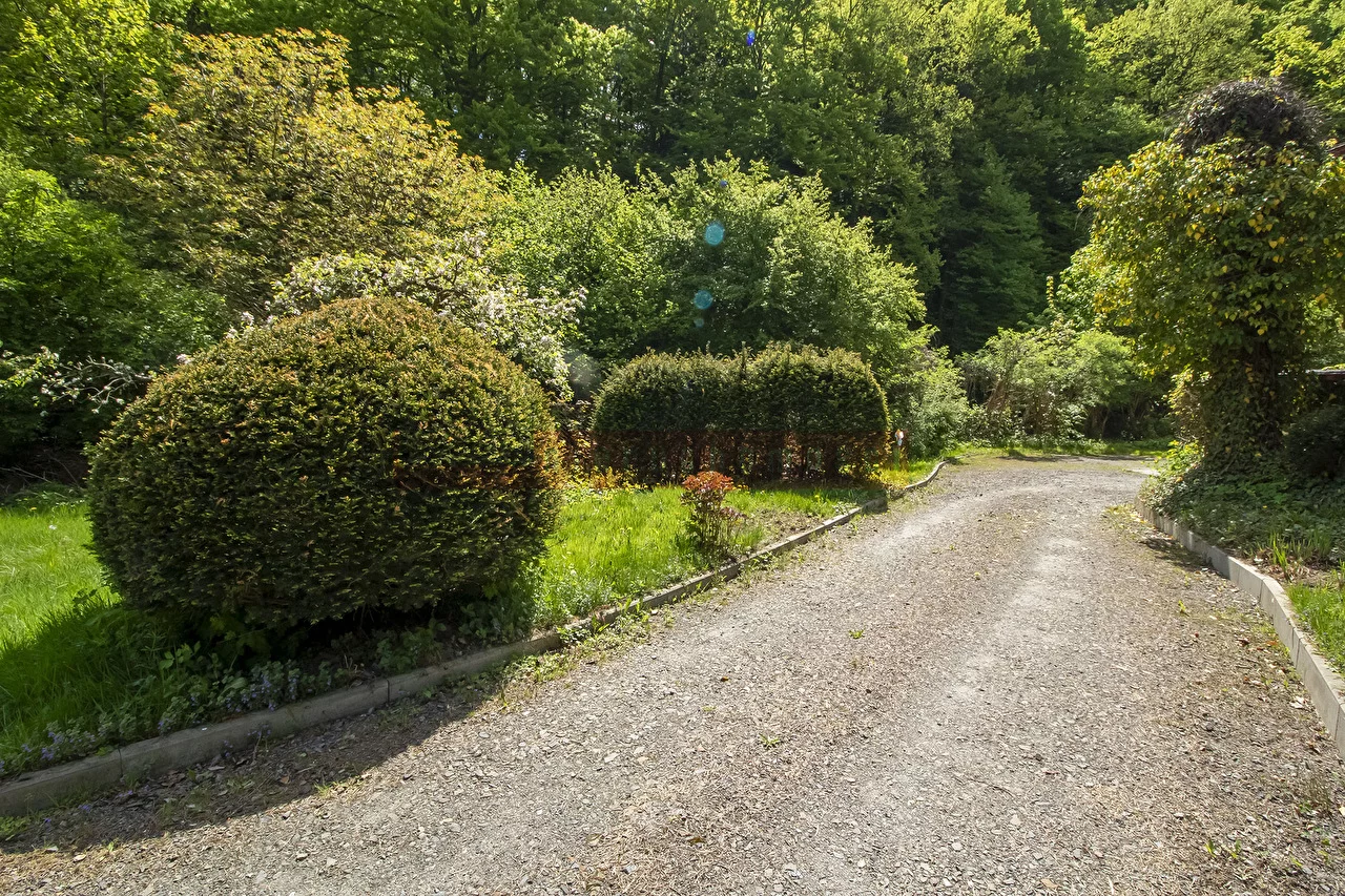 15058 - zdjęcie nr 0