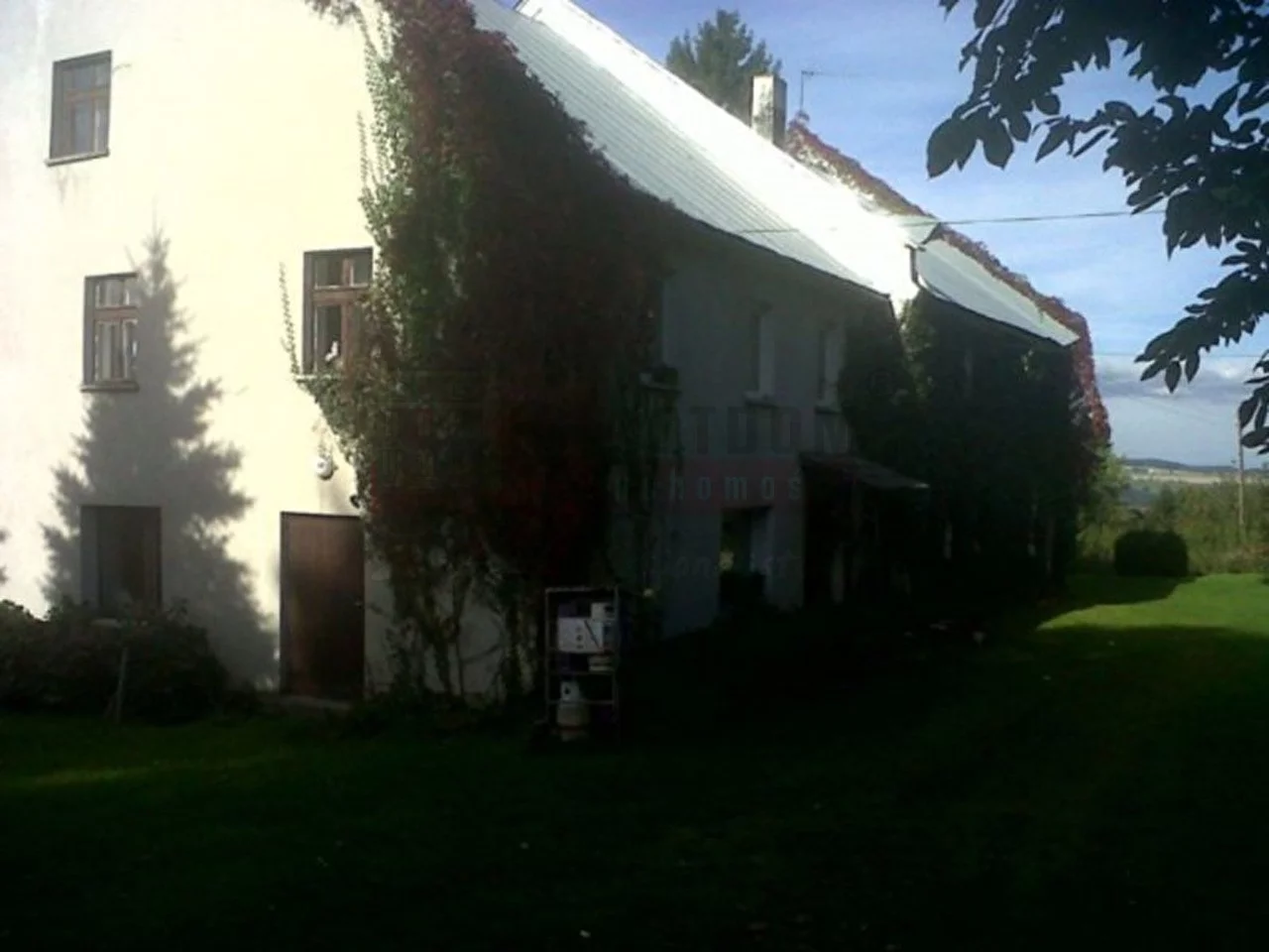 11397 - zdjęcie nr 2