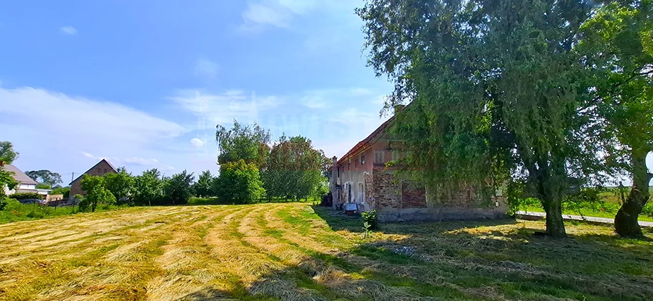 16195 - zdjęcie nr 0
