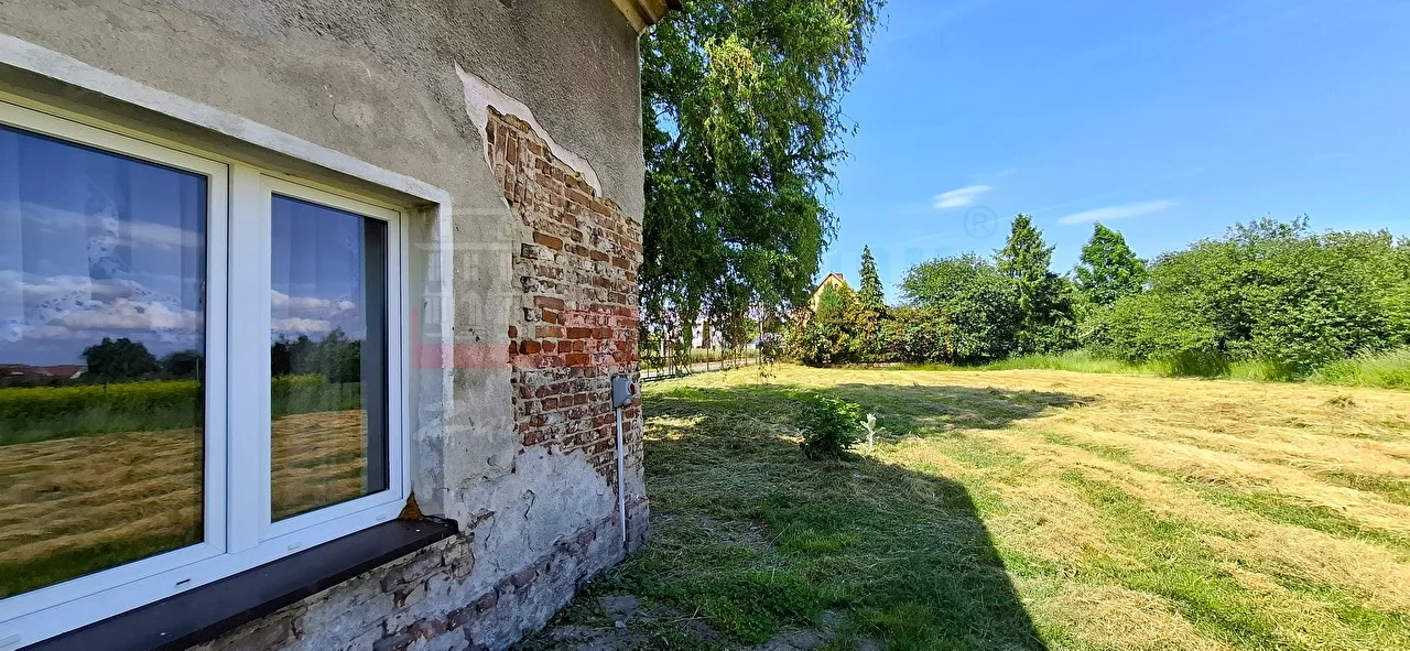 16195 - zdjęcie nr 1