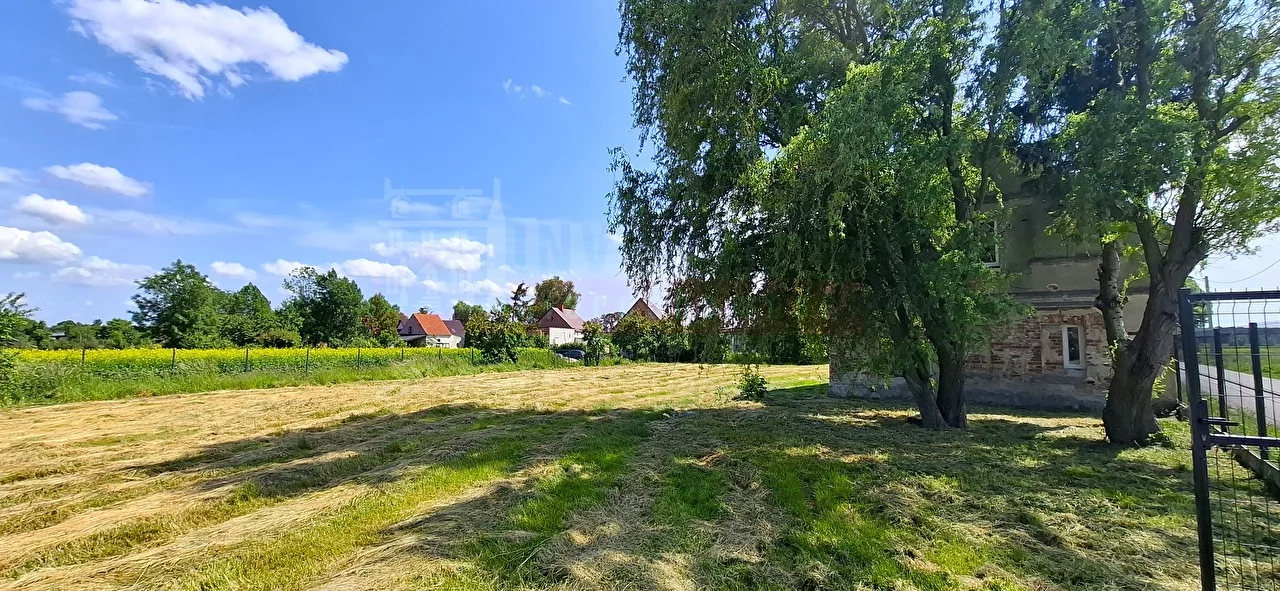 16195 - zdjęcie nr 2