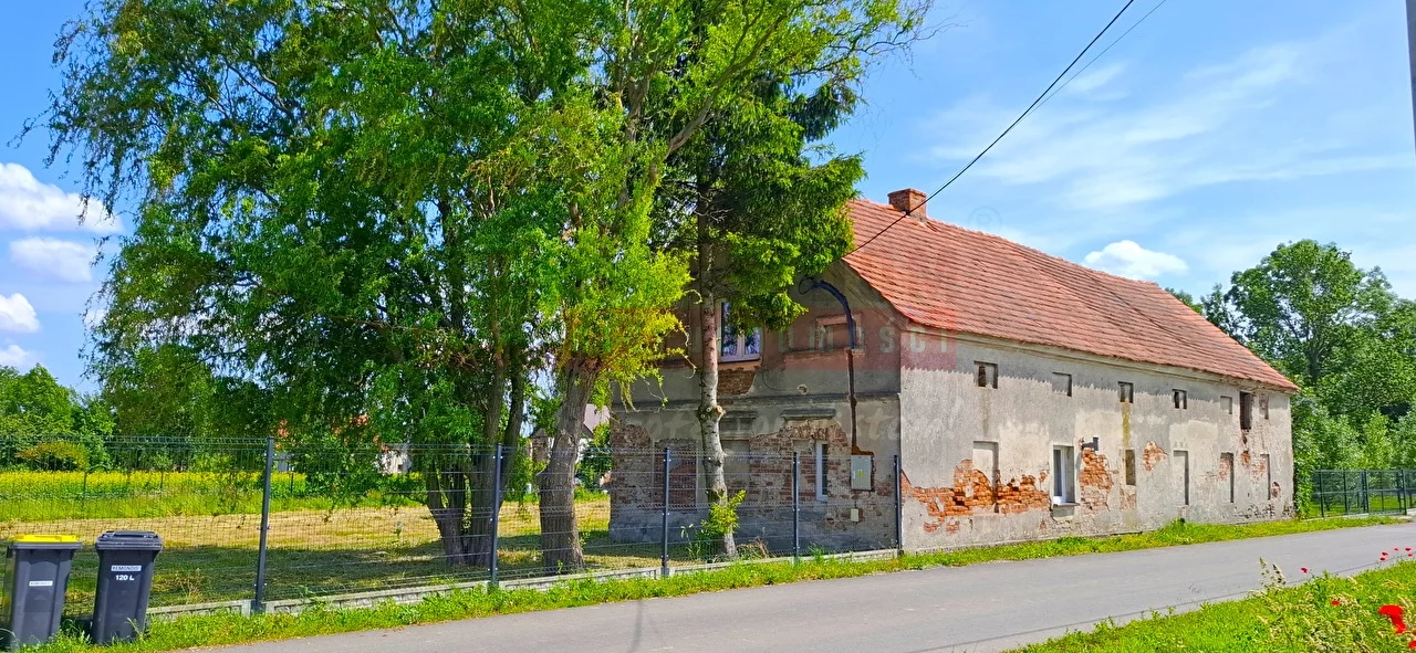 16195 - zdjęcie nr 3