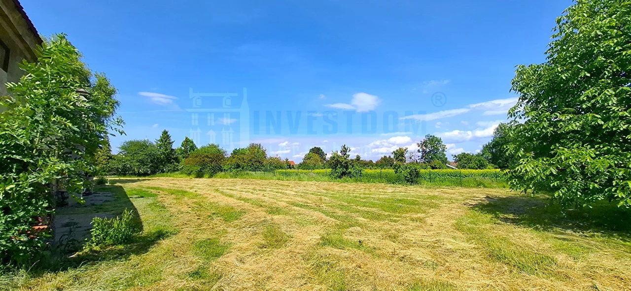 16195 - zdjęcie nr 4