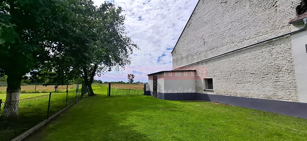 16303 - zdjęcie nr 1