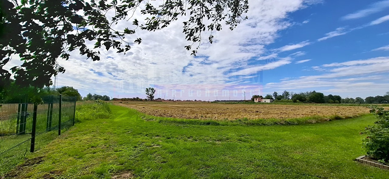 16303 - zdjęcie nr 2