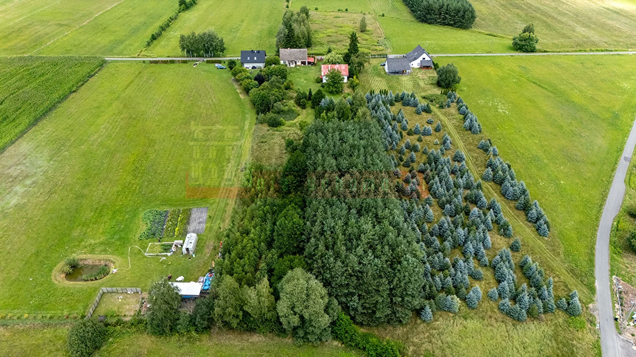 16314 - zdjęcie nr 3