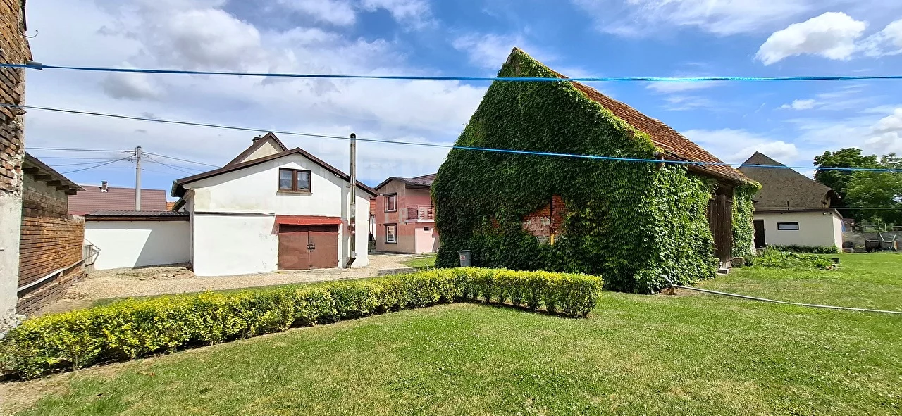 16282 - zdjęcie nr 1