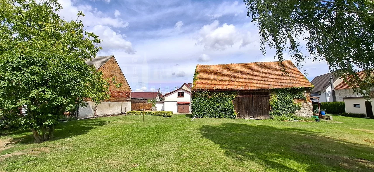 16282 - zdjęcie nr 3