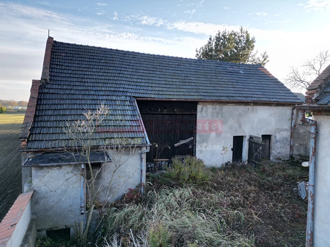 15904 - zdjęcie nr 3