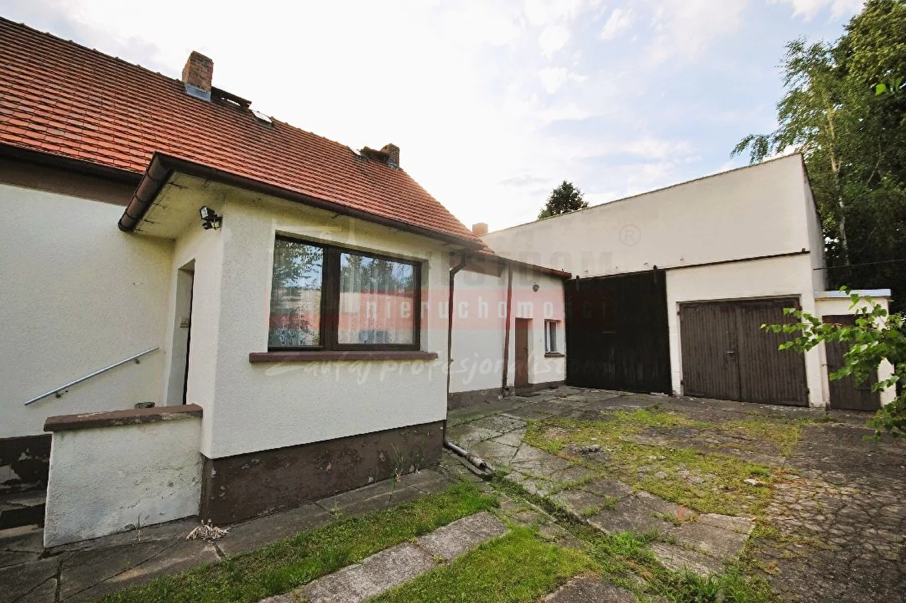16299 - zdjęcie nr 1