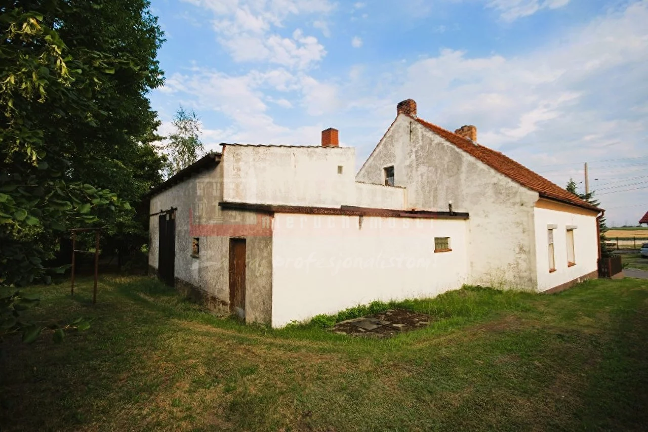 16299 - zdjęcie nr 2