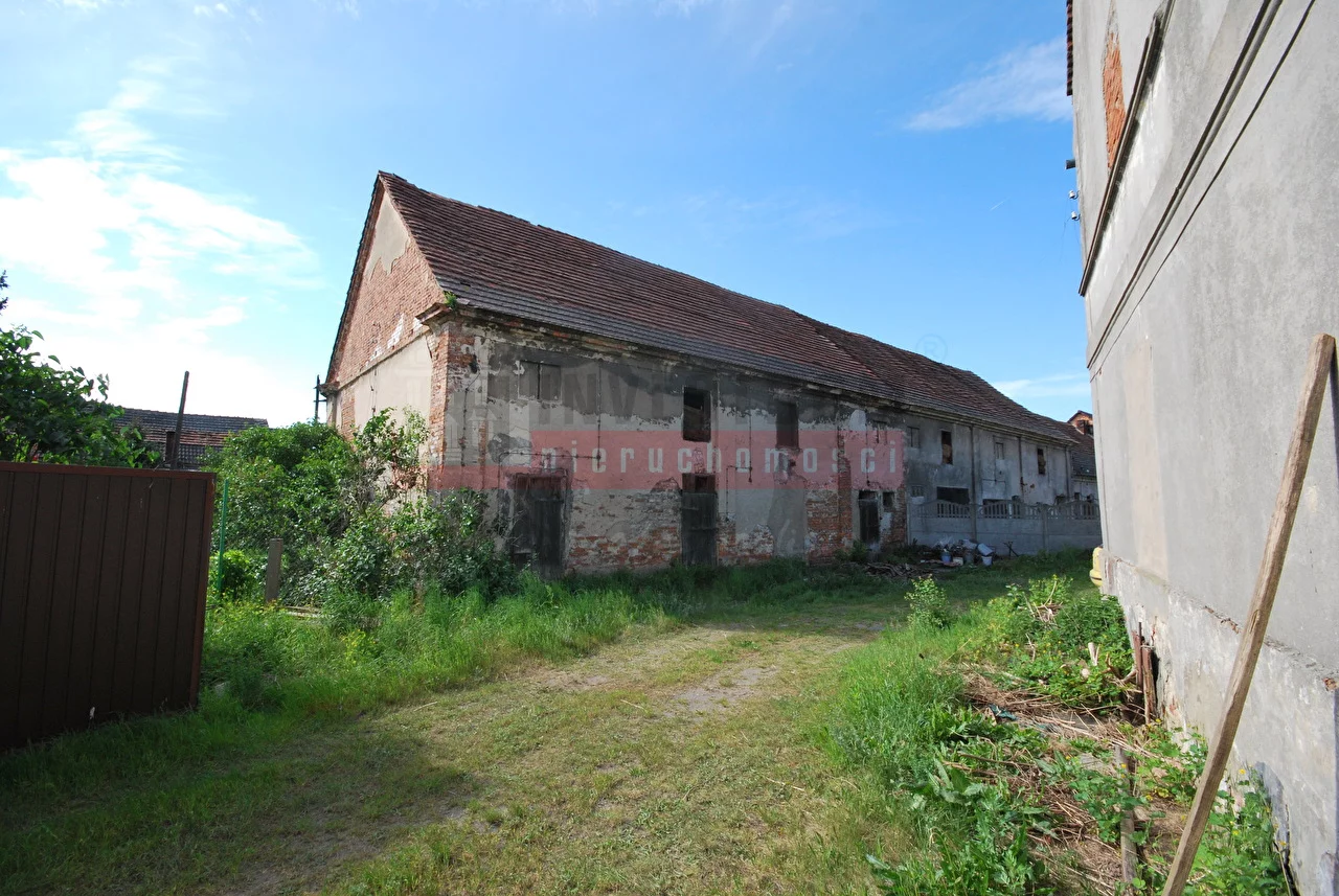 15666 - zdjęcie nr 2