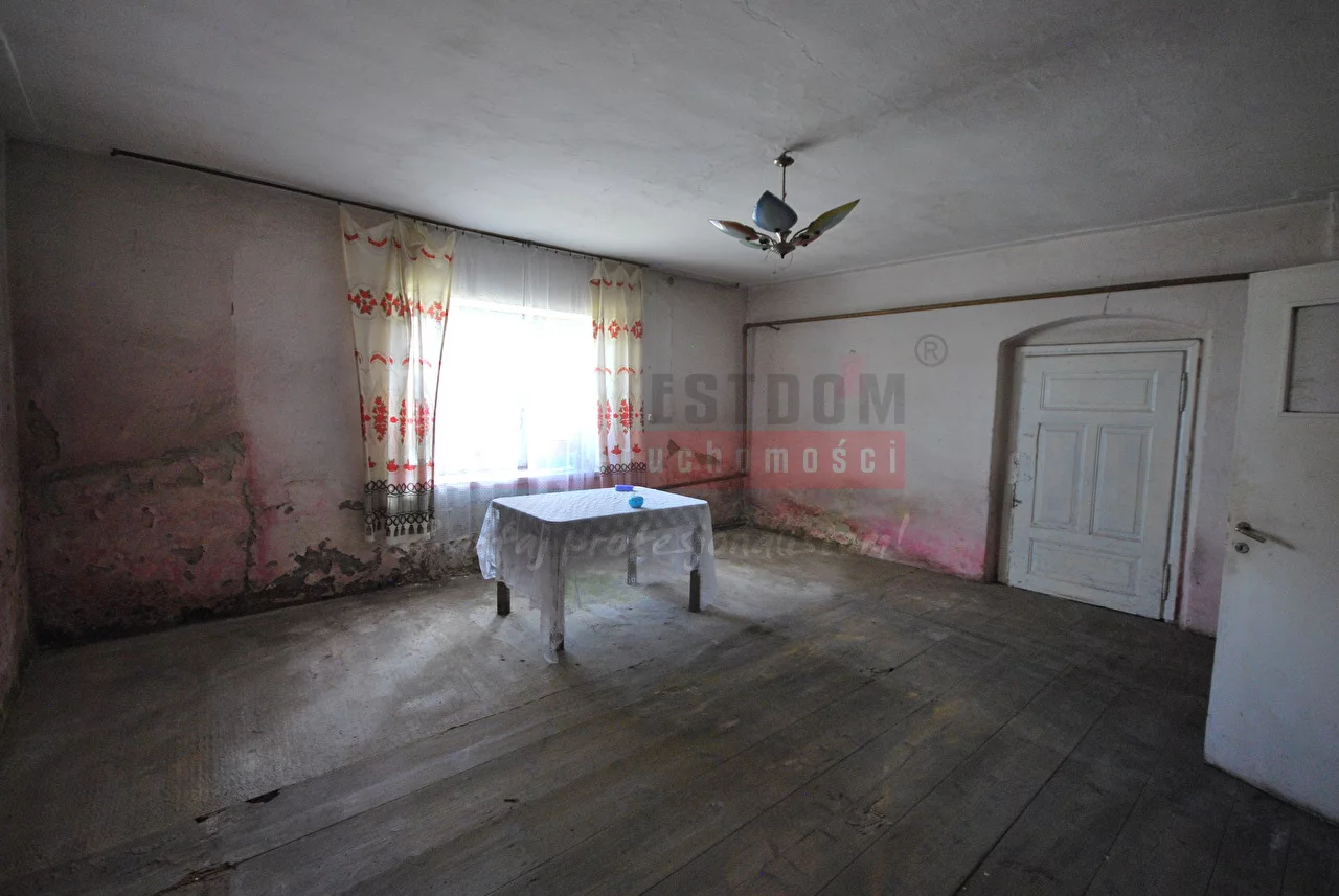 15666 - zdjęcie nr 4