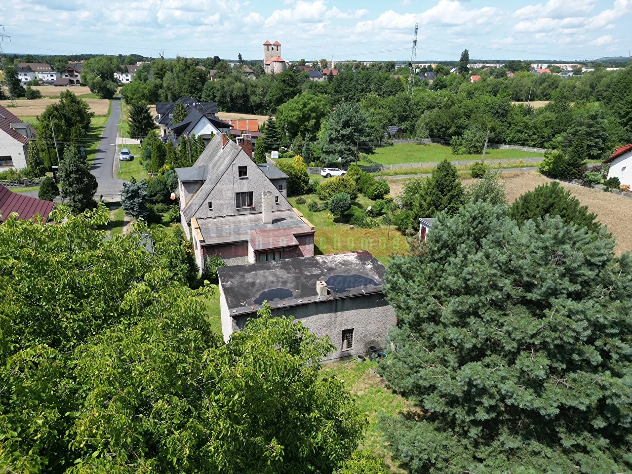 16247 - zdjęcie nr 1