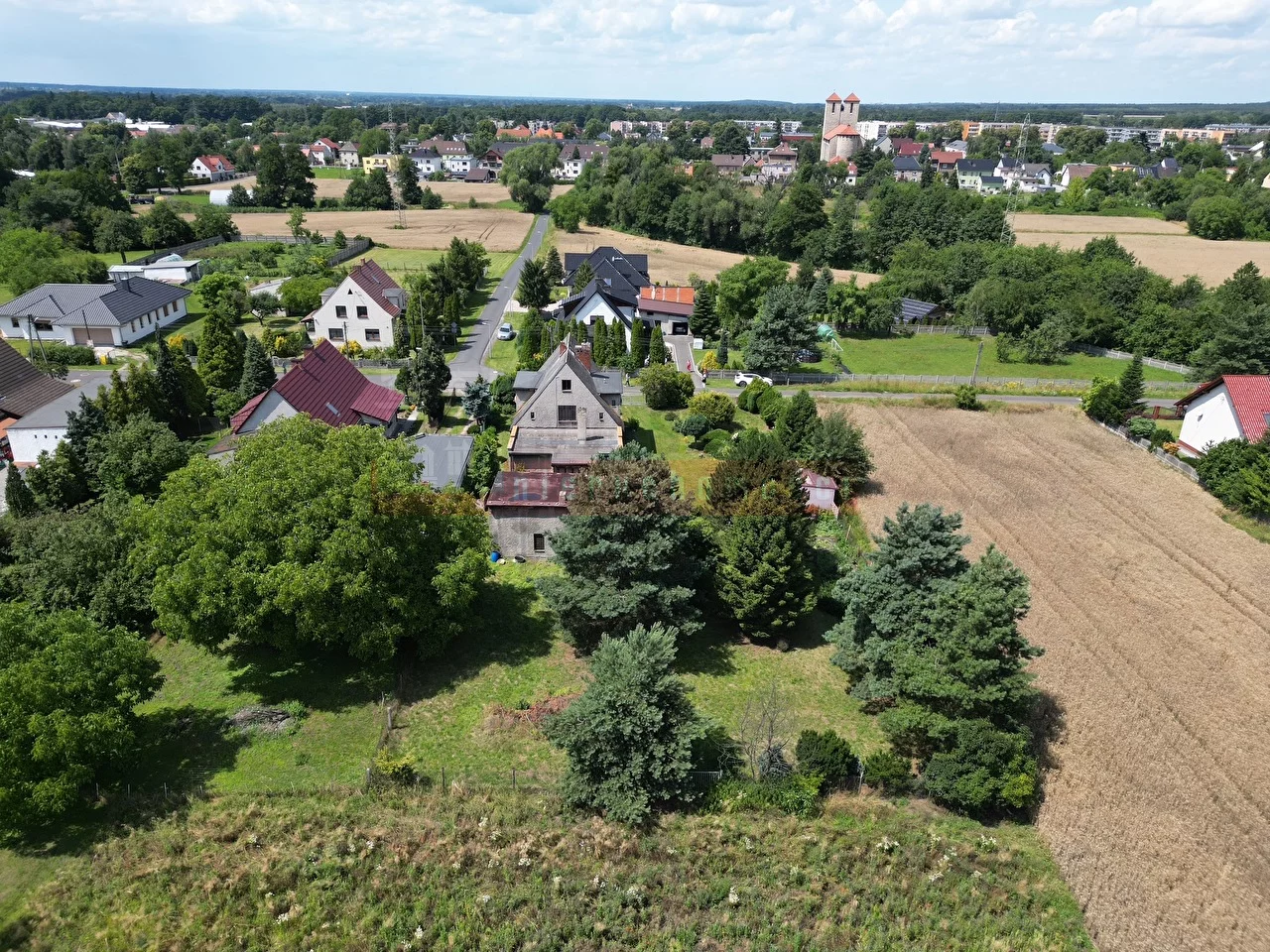 16247 - zdjęcie nr 2
