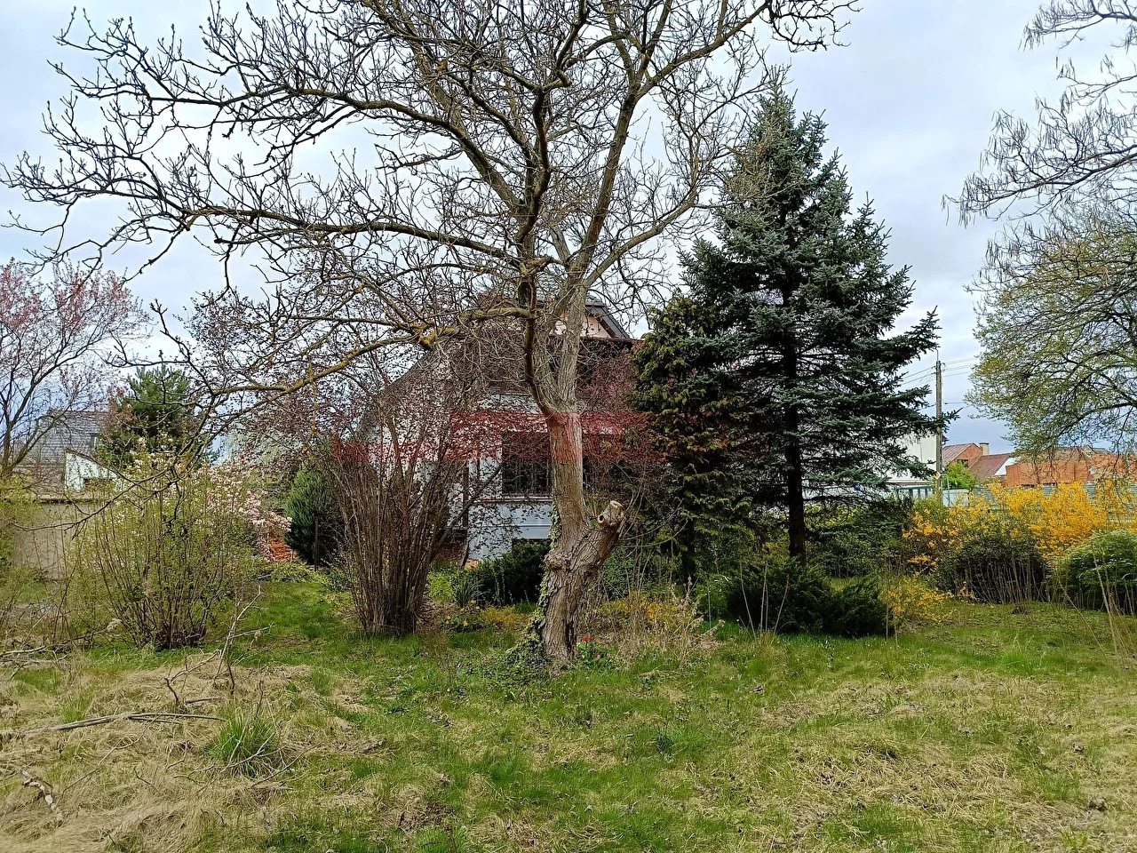 Dom 350,00 m², oferta nr , 16370, Opole, Czarnowąsy