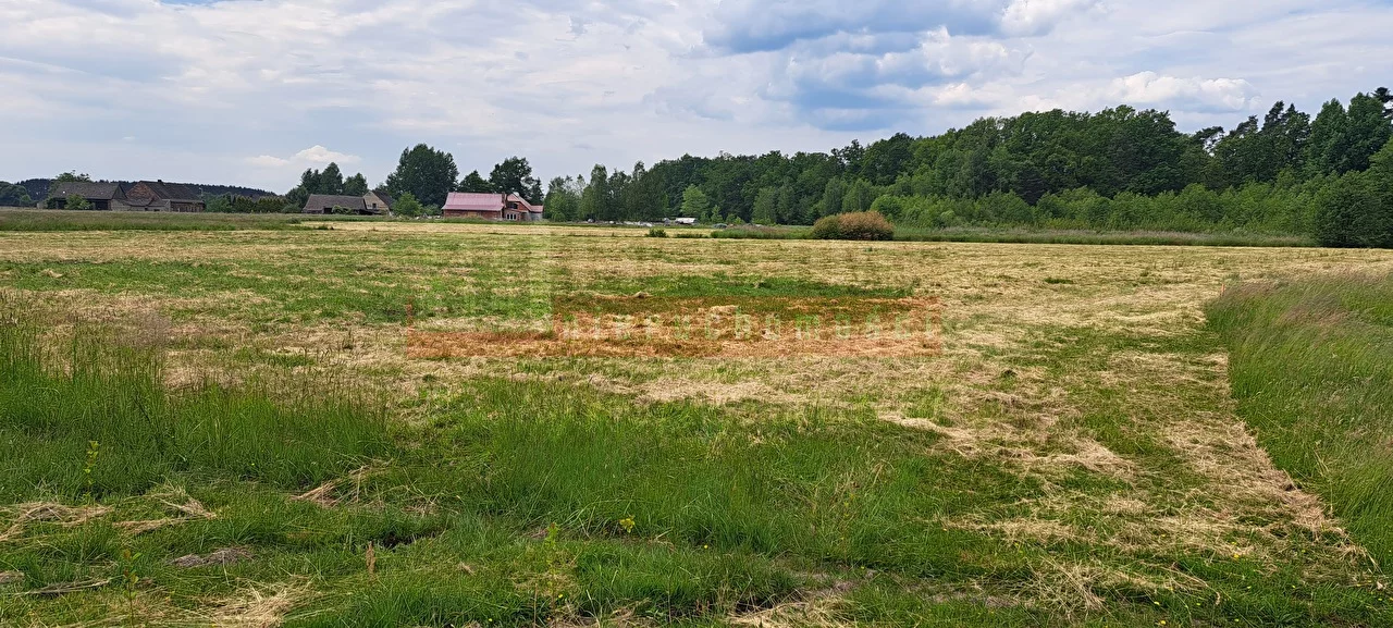 15086 - zdjęcie nr 3
