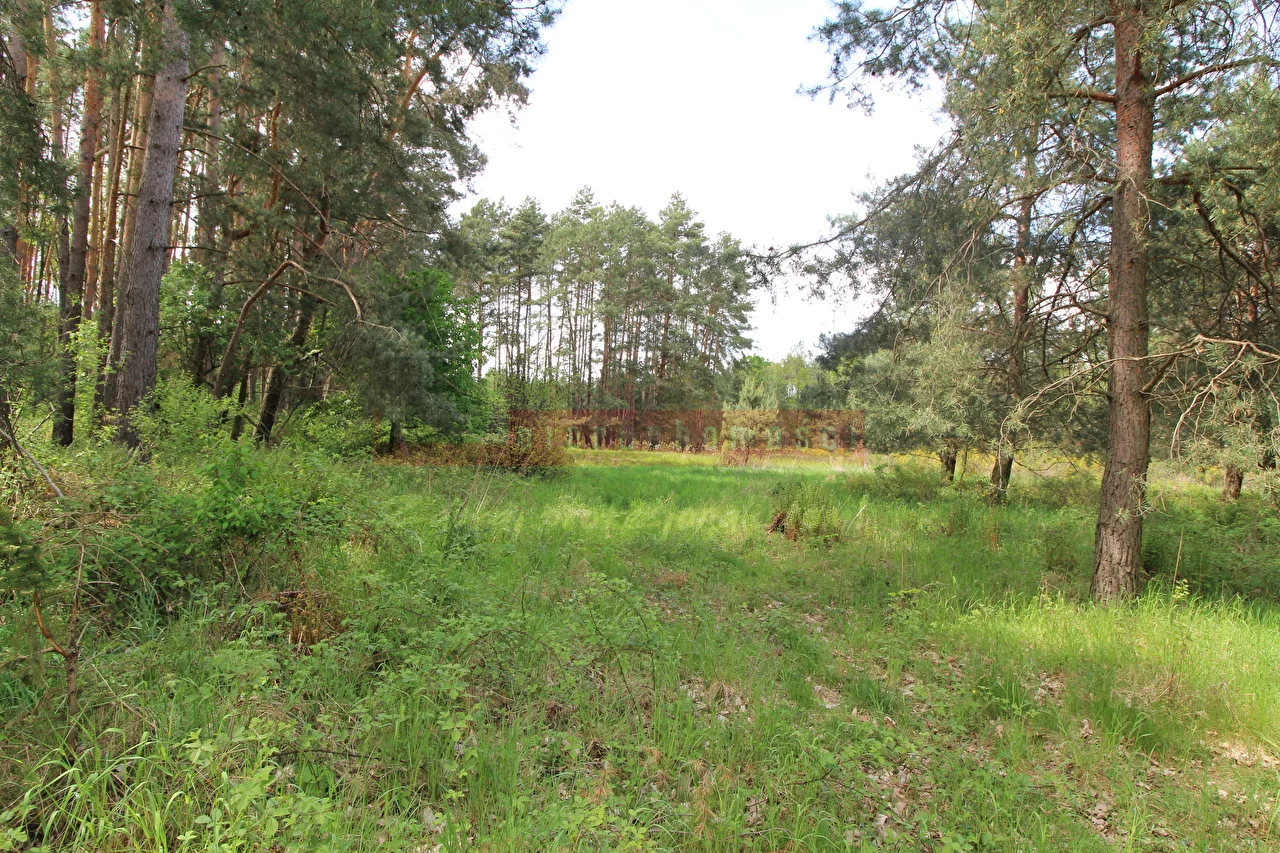 Apartamenty 14487 Brynica