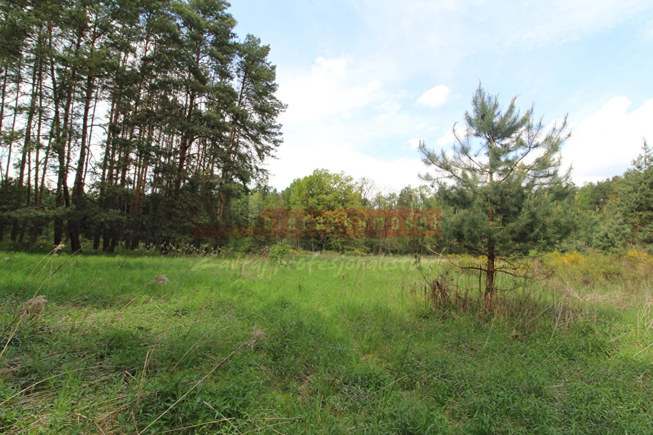 14487 - zdjęcie nr 3