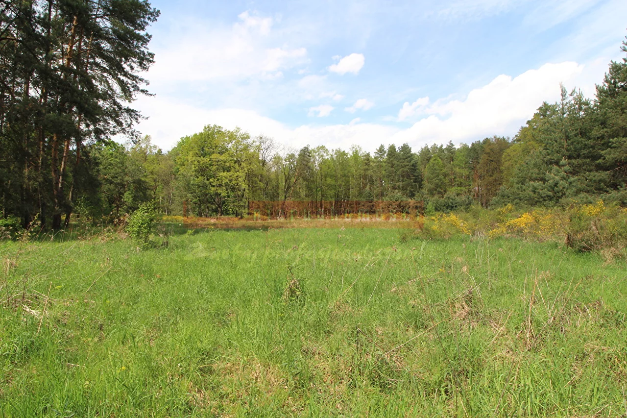 14487 - zdjęcie nr 5