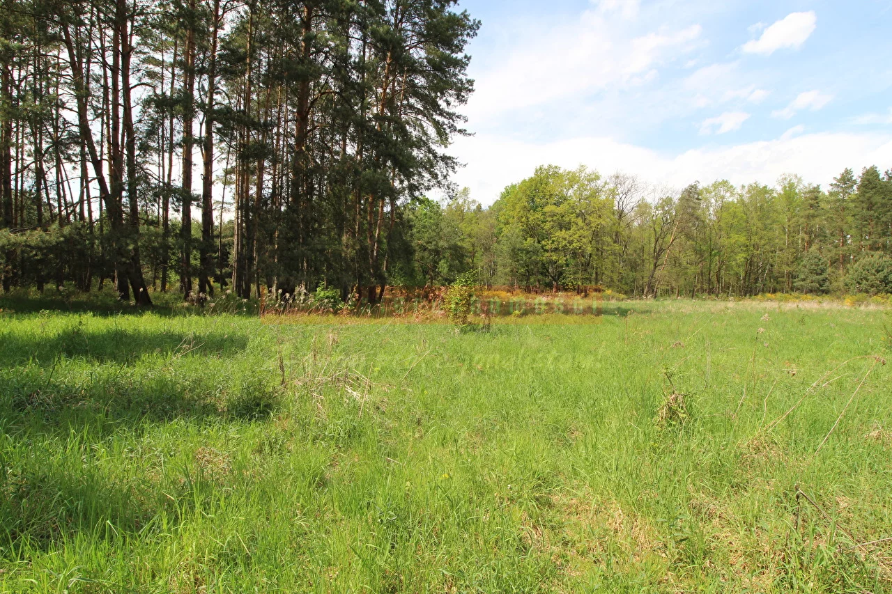 Działka 10 670,00 m², oferta nr , 14487, Brynica