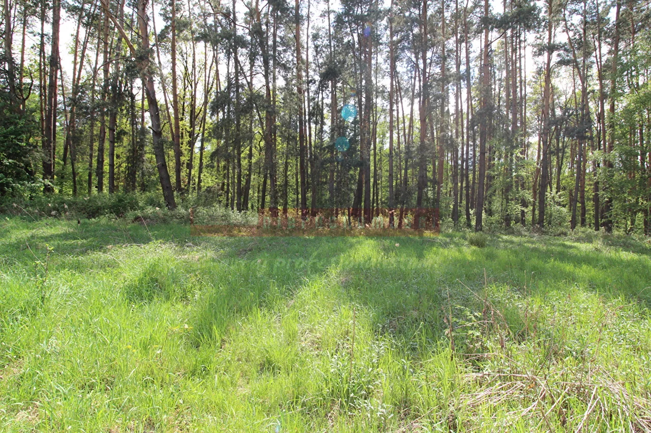 Działka 10 670,00 m², oferta nr , 14487, Brynica