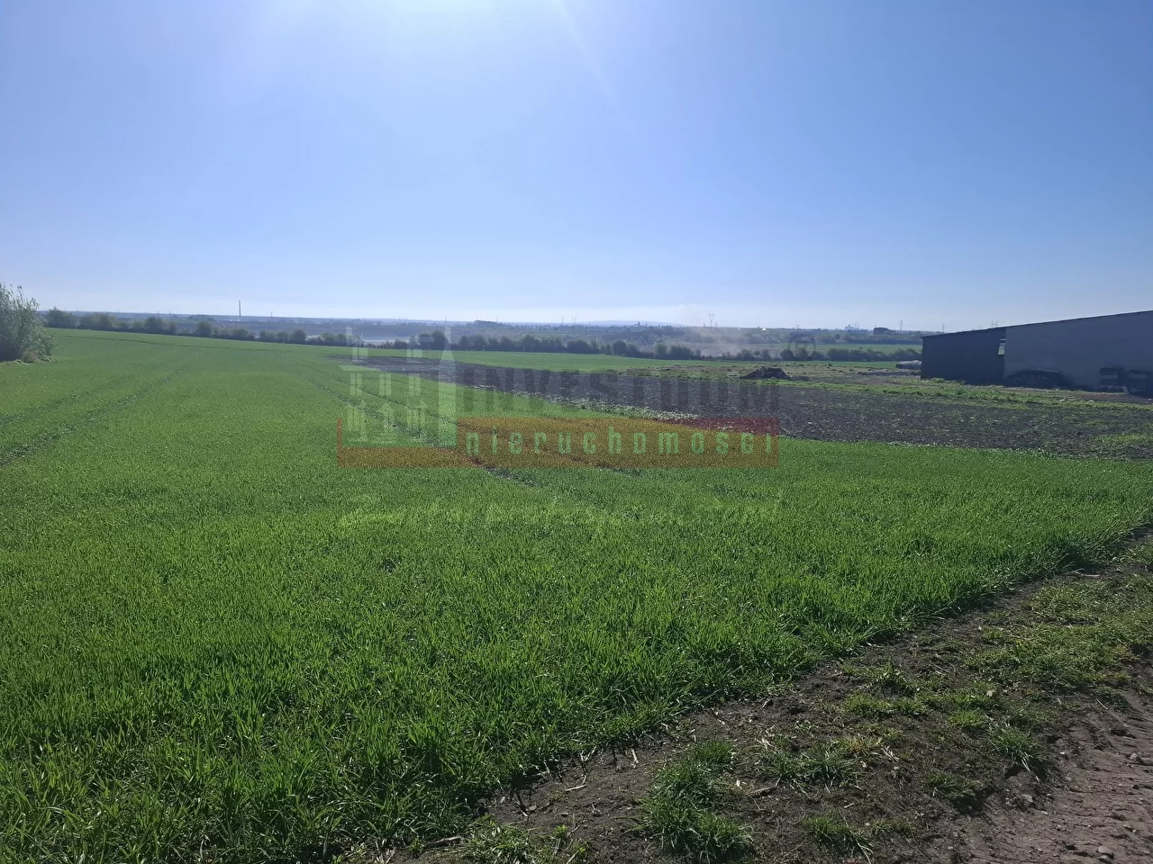 Działka 1 534,00 m², oferta nr , 16155, Chrząszczyce