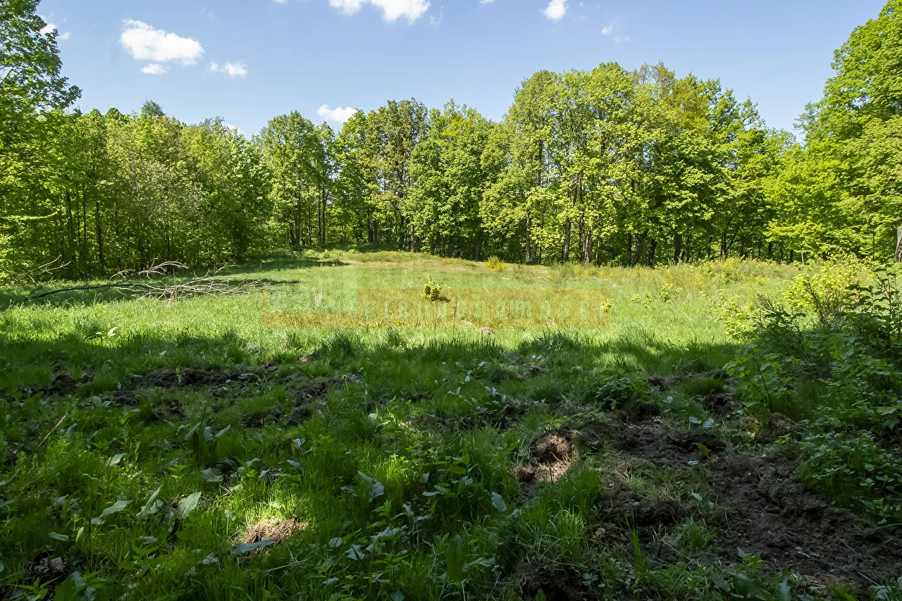 Apartamenty 16095 Jarnołtówek