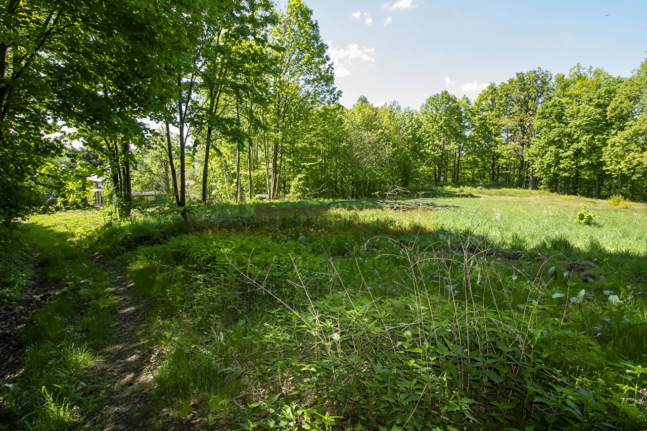 Działka 4 250,00 m², oferta nr , 16095, Jarnołtówek