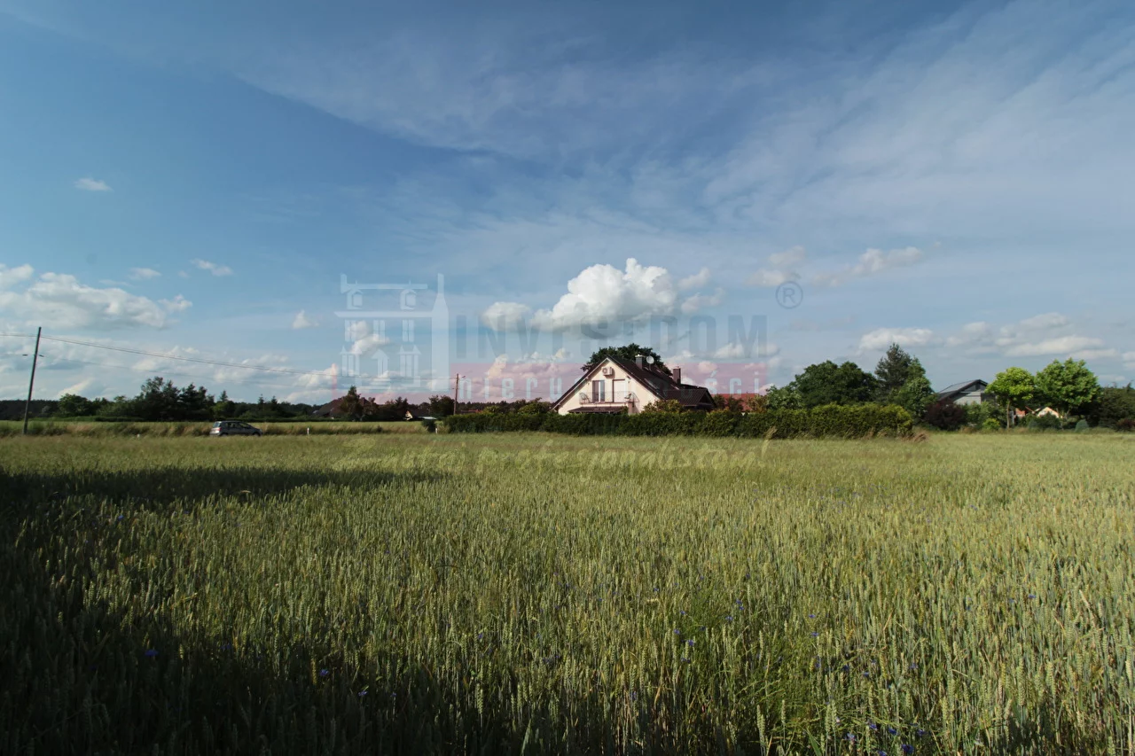 15879 - zdjęcie nr 2