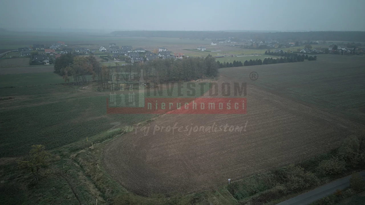 15892 - zdjęcie nr 2