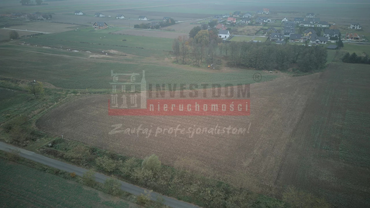 15892 - zdjęcie nr 3