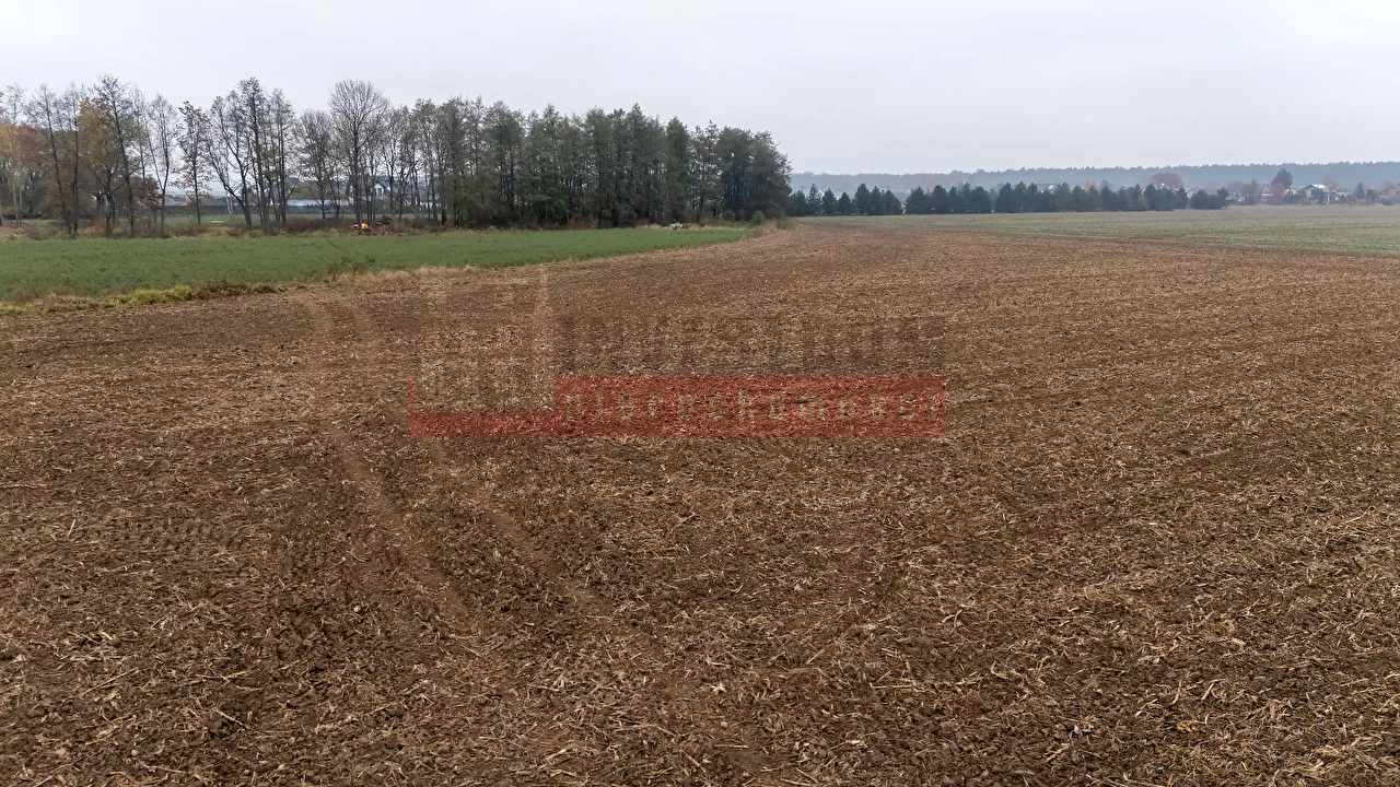 Apartamenty 15898 Karczów