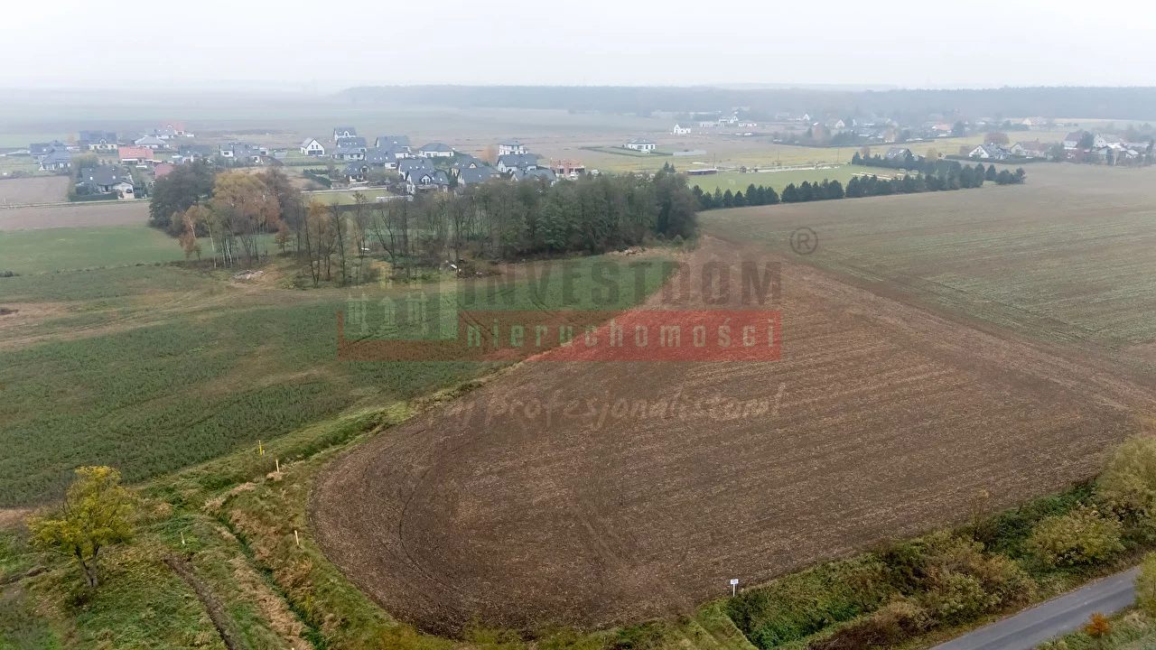 15898 - zdjęcie nr 0