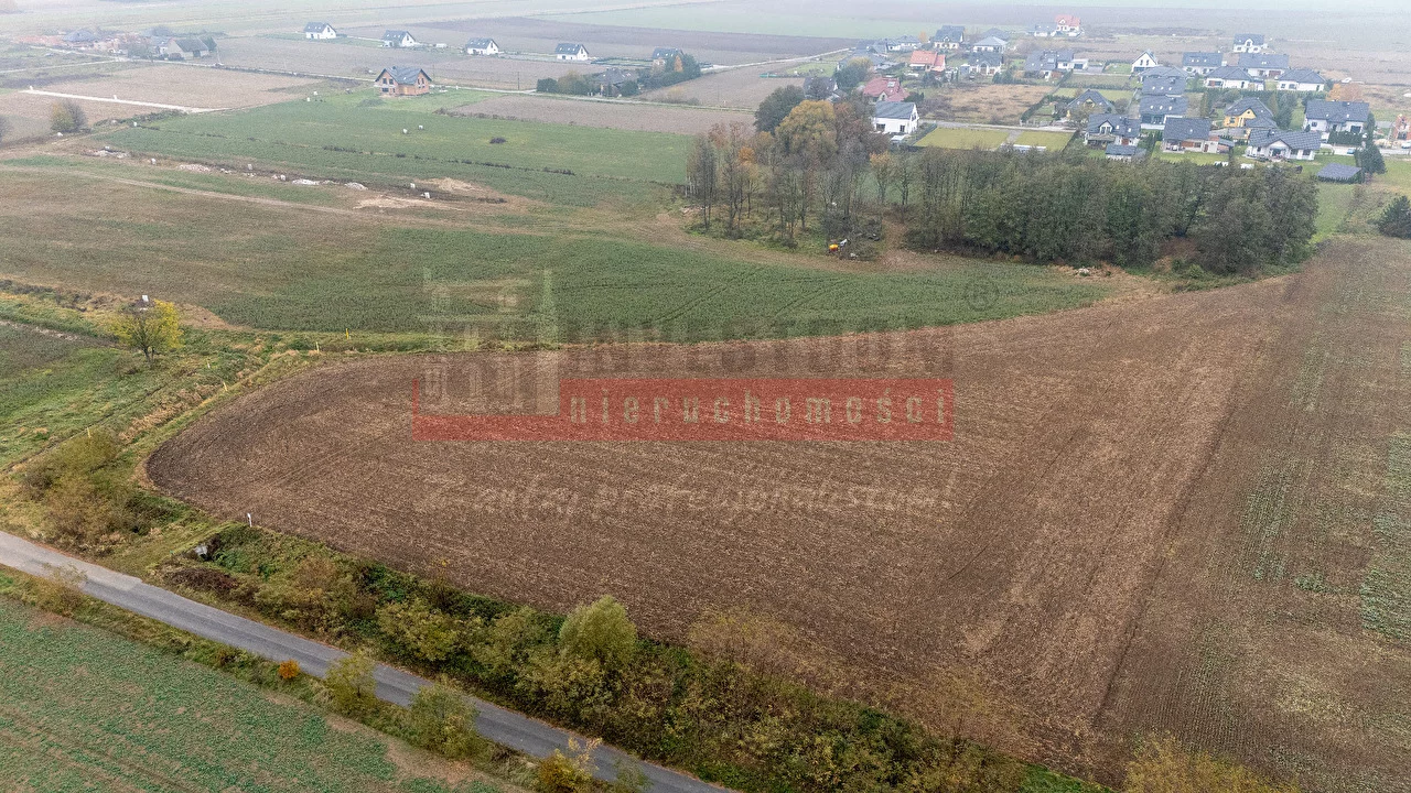15898 - zdjęcie nr 1