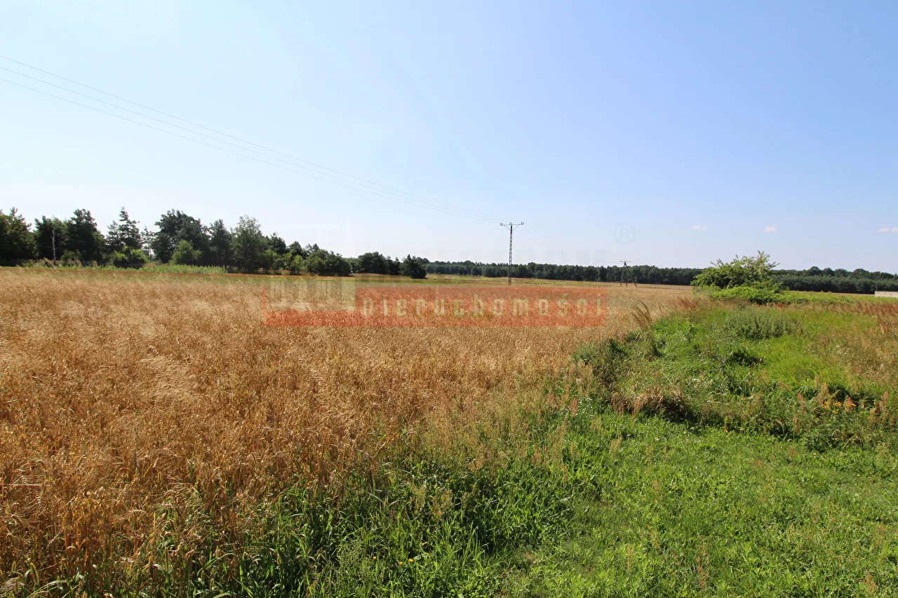 14038 - zdjęcie nr 0