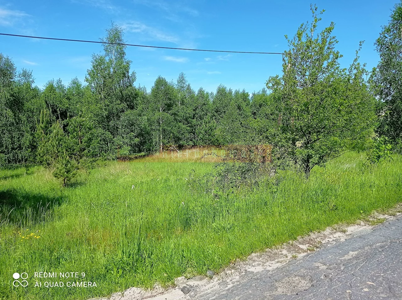 16270 - zdjęcie nr 3