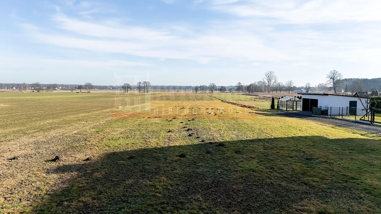 16022 - zdjęcie nr 2