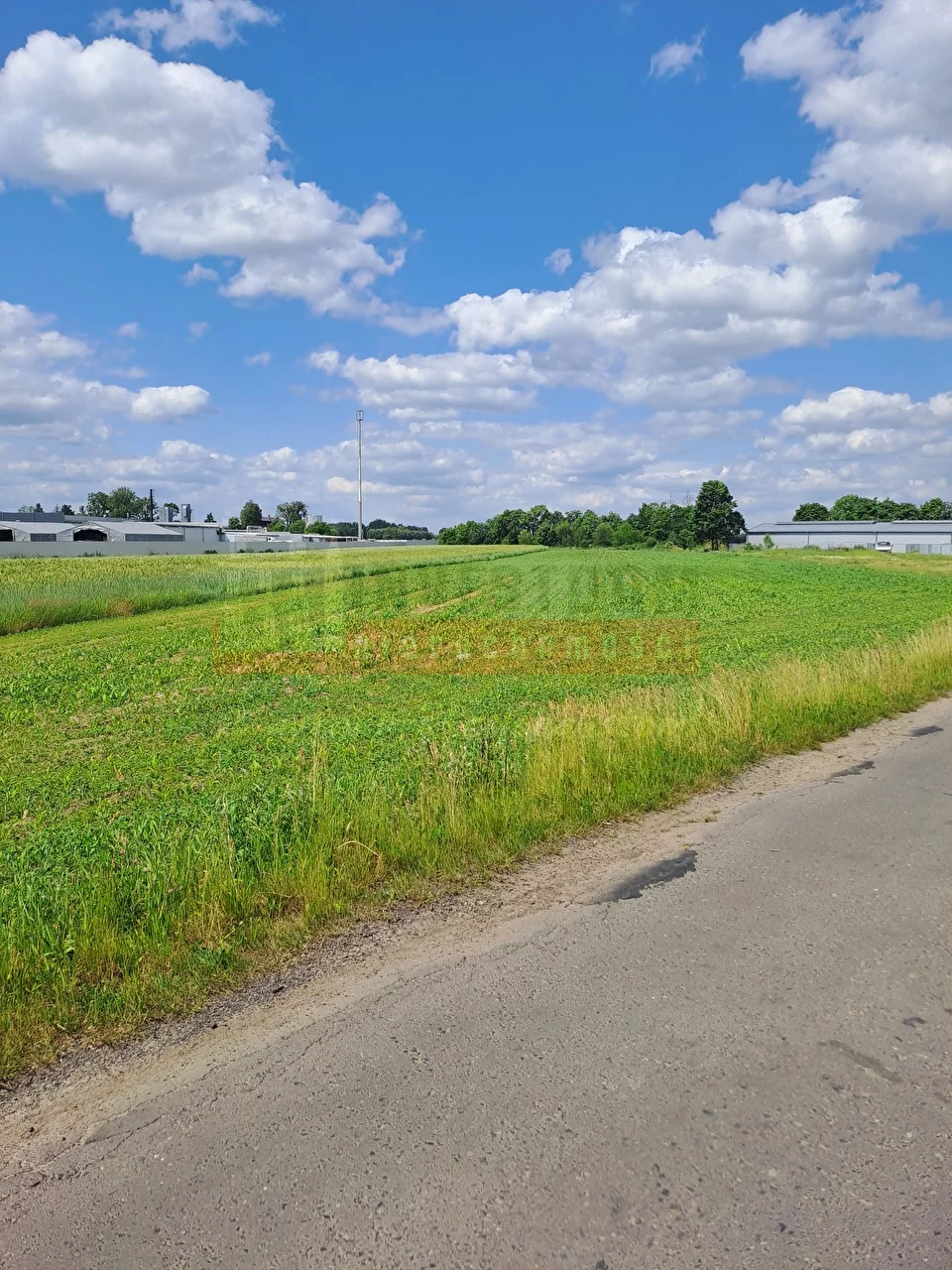 15046 - zdjęcie nr 1