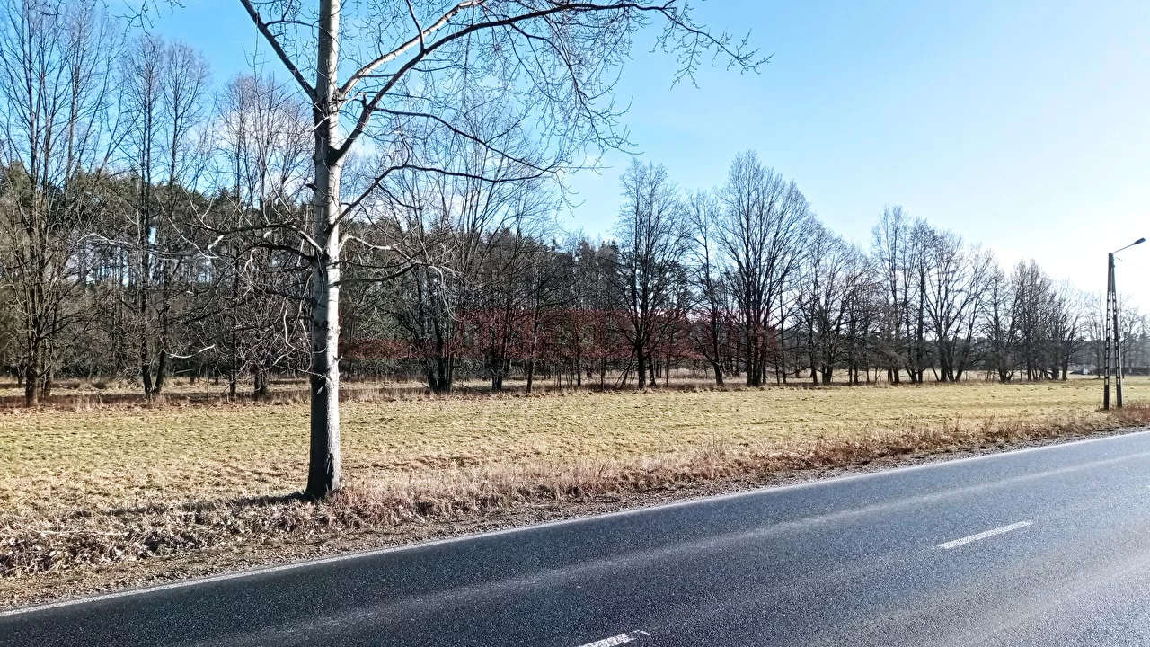 14261 - zdjęcie nr 0