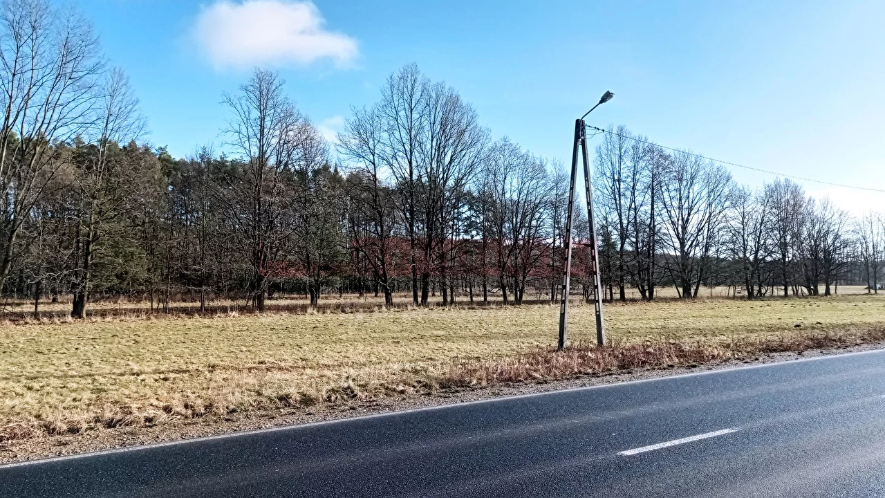 14261 - zdjęcie nr 3