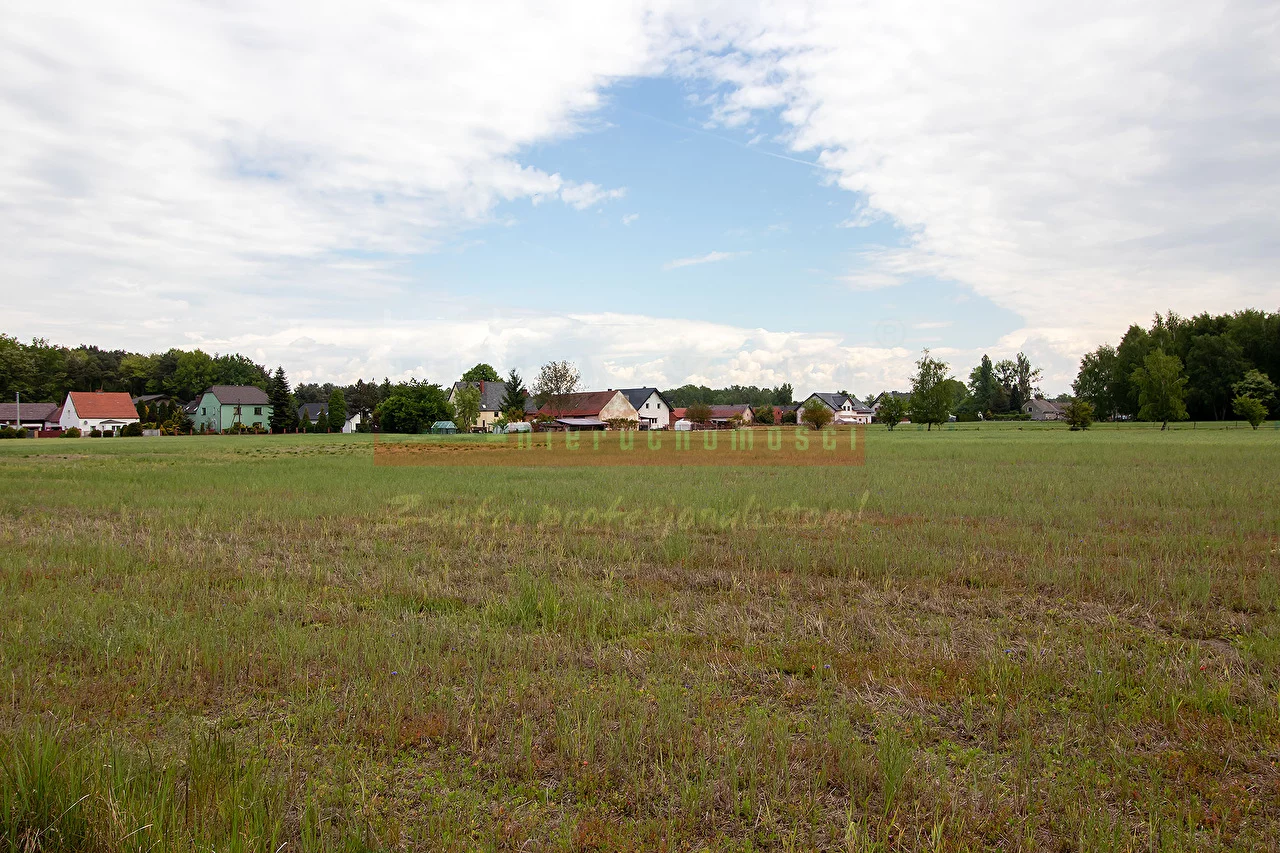 16164 - zdjęcie nr 2