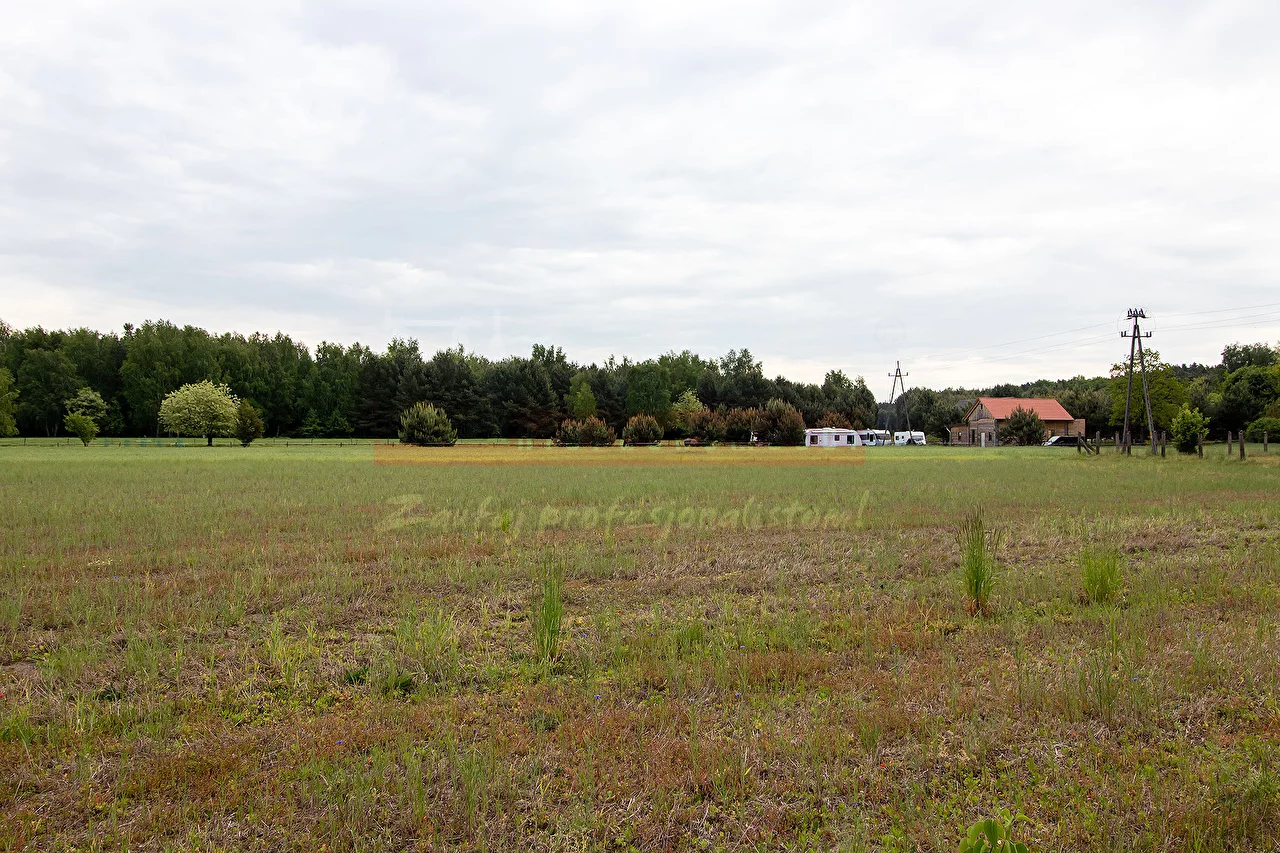 16164 - zdjęcie nr 4