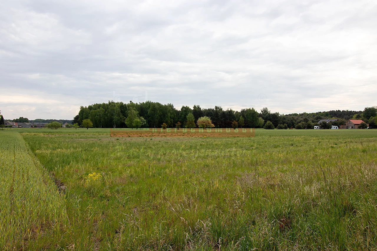 Działka 10 549,00 m², oferta nr , 16164, Łubniany