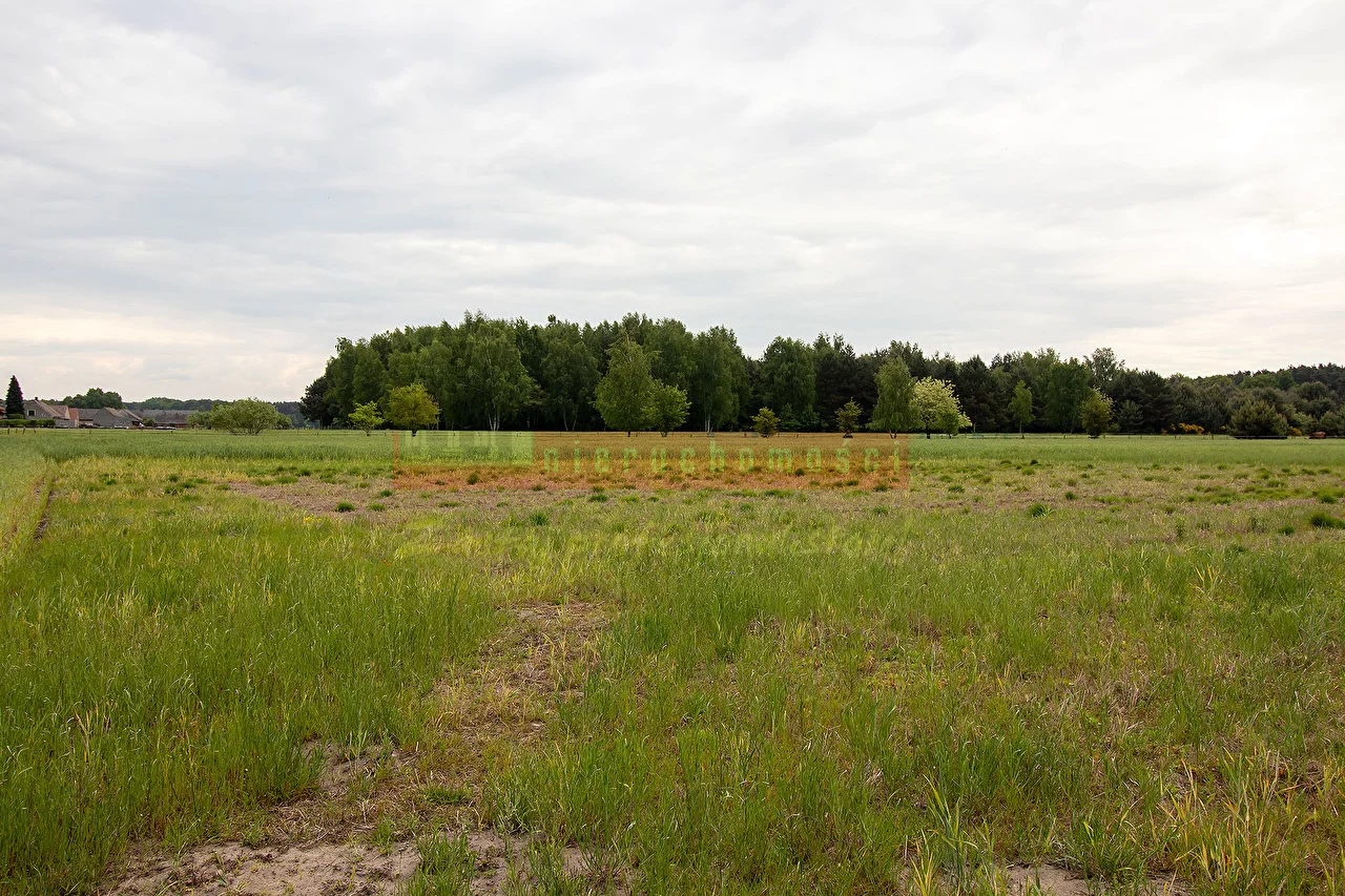 Działka 10 549,00 m², oferta nr , 16164, Łubniany
