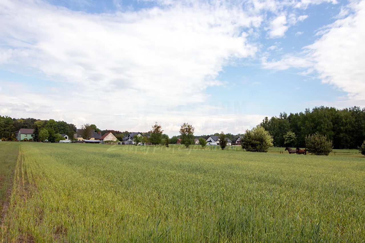 Działka 10 549,00 m², oferta nr , 16164, Łubniany