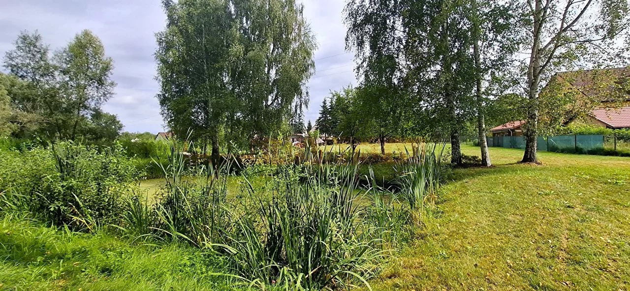 16345 - zdjęcie nr 3
